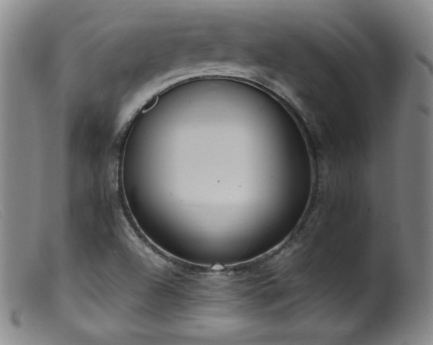X0000099551504200805161439
