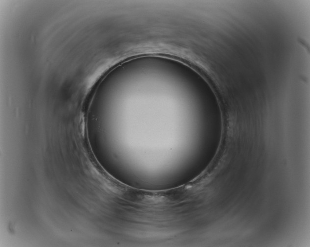 X0000099551509200805161439
