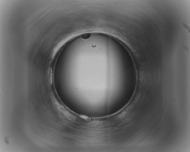 X0000099551510200805161439