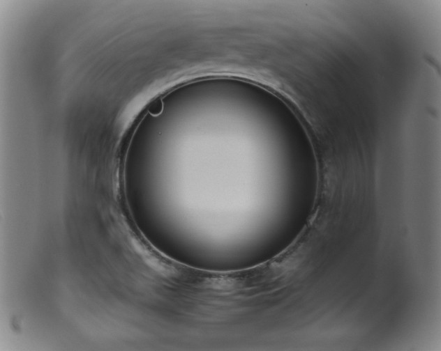 X0000099551511200805161439