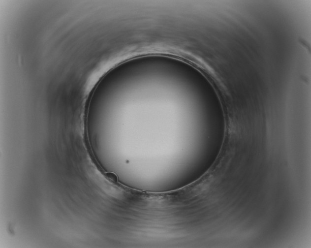 X0000099551512200805161439