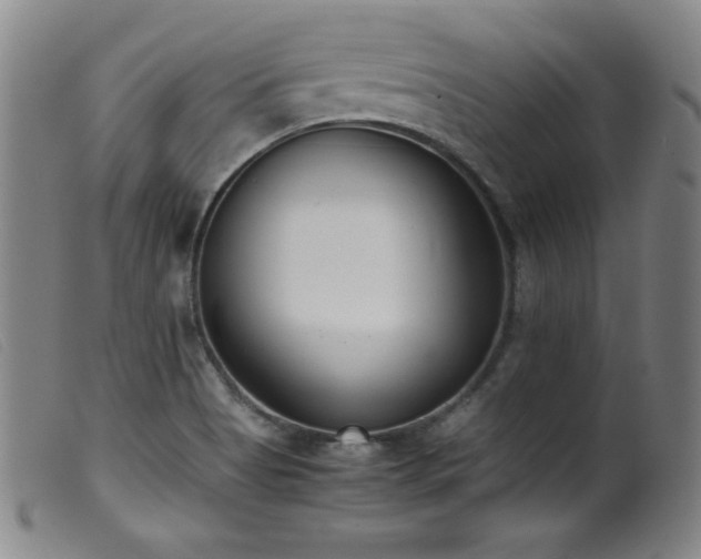X0000099551513200805161439