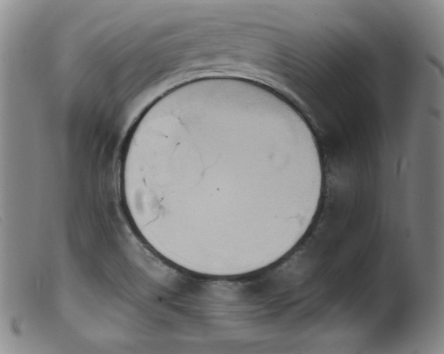 X0000099551514200805161439