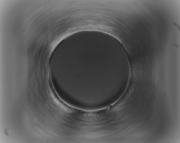 X0000099551515200805161439
