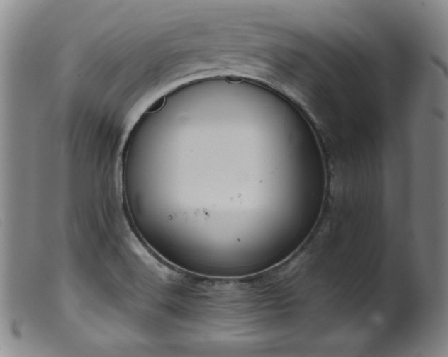 X0000099551516200805161439