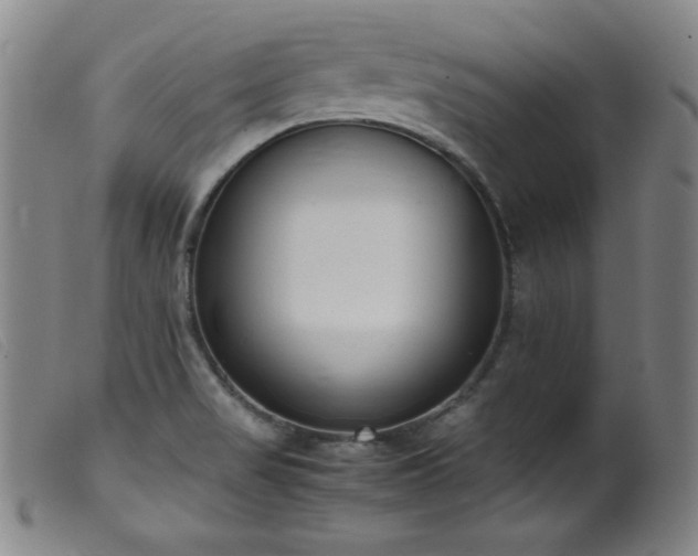 X0000099551517200805161439