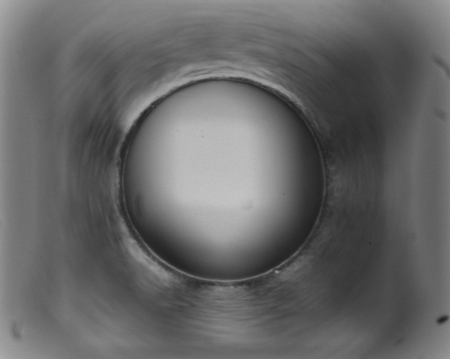 X0000099551518200805161439