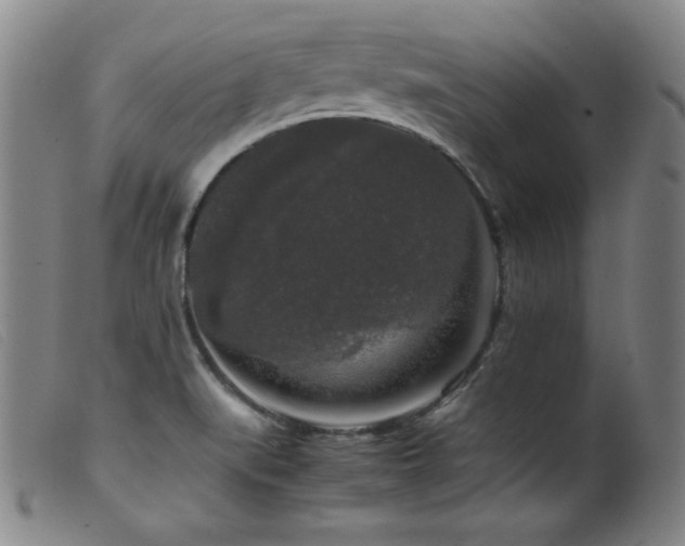 X0000099551519200805161439