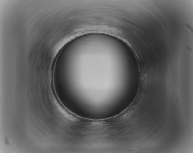 X0000099551523200805161439