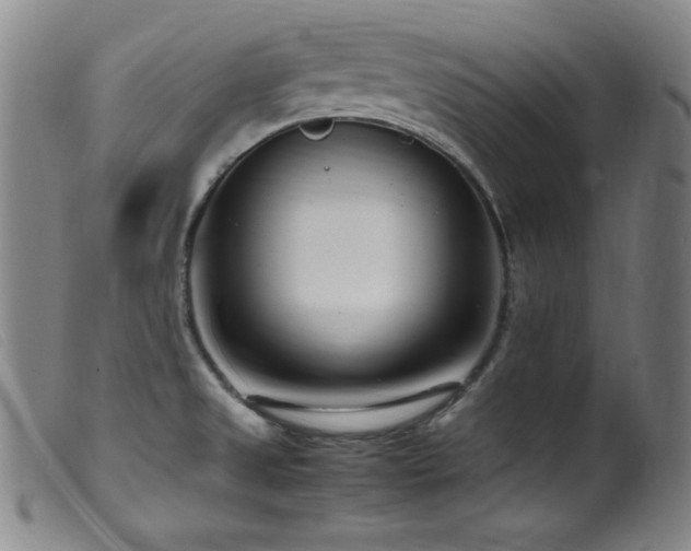 X0000099551525200805161439