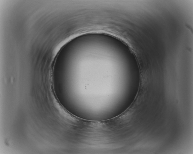 X0000099551526200805161439
