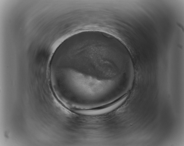 X0000099551527200805161439