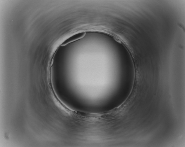 X0000099551528200805161439