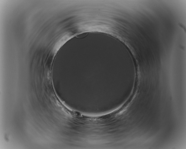 X0000099551529200805161439
