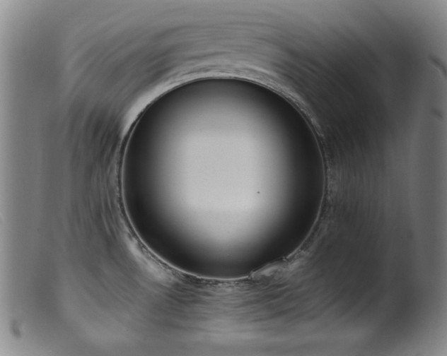 X0000099551530200805161439