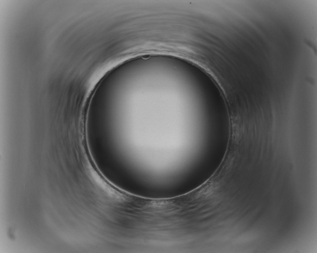 X0000099551531200805161439
