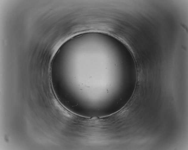 X0000099551532200805161439