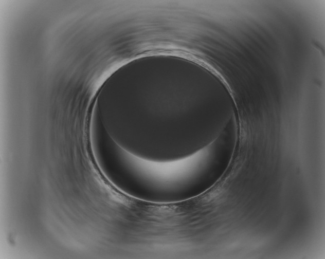 X0000099551533200805161439