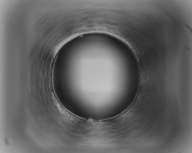 X0000099551534200805161439