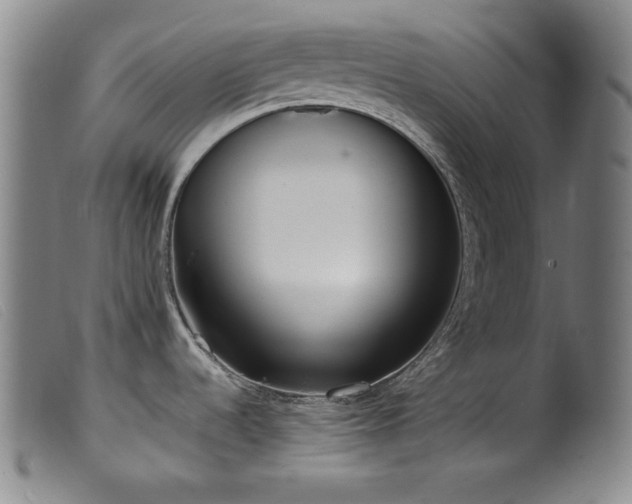 X0000099551536200805161439