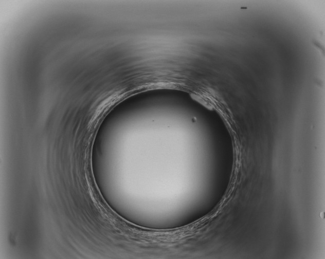 X0000099550001200805231202