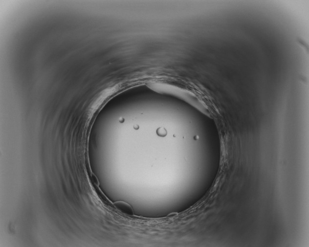 X0000099550003200805231202