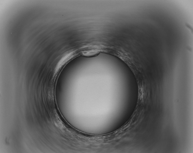 X0000099550004200805231202