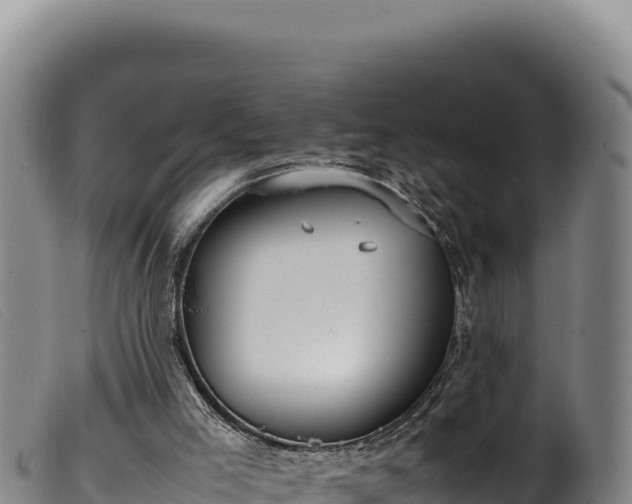 X0000099550005200805231202