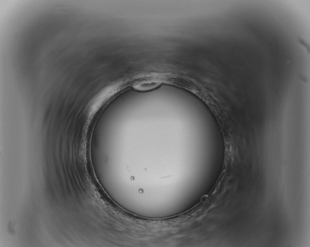 X0000099550006200805231202