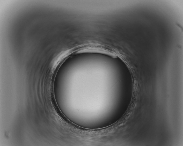 X0000099550007200805231202