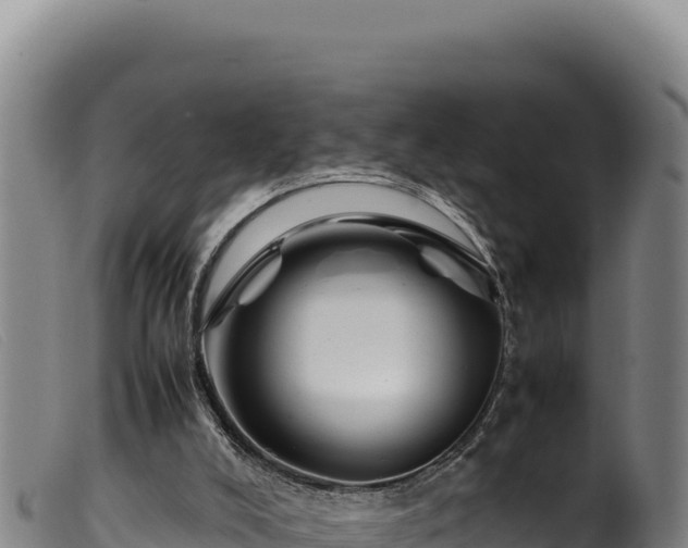 X0000099550008200805231202