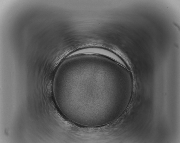 X0000099550009200805231202