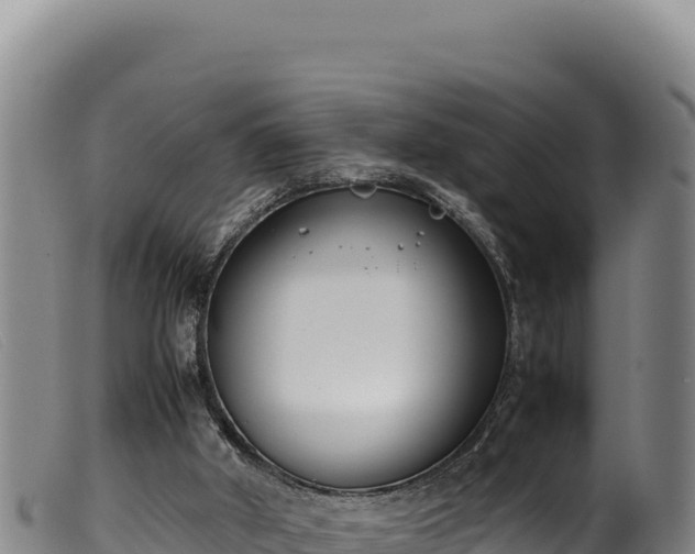 X0000099550010200805231202