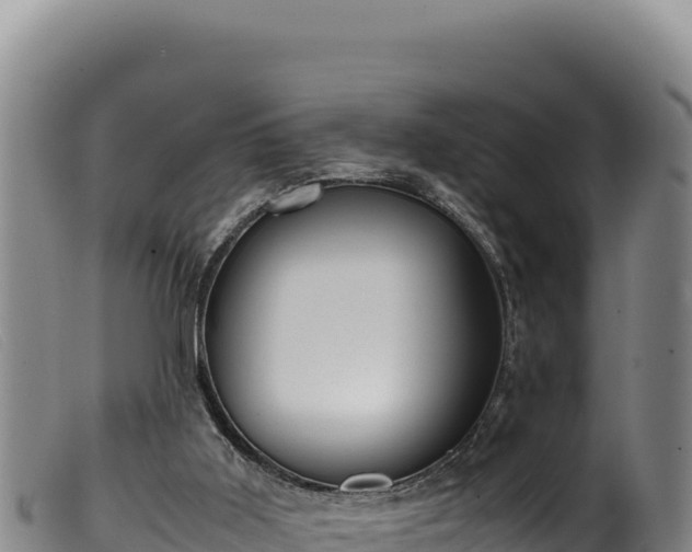 X0000099550011200805231202