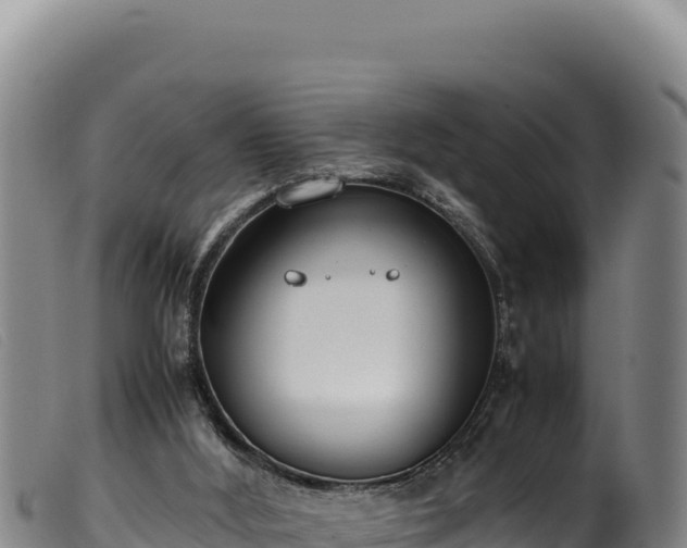 X0000099550012200805231202