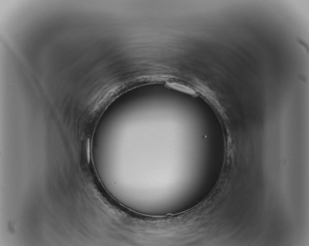 X0000099550013200805231202