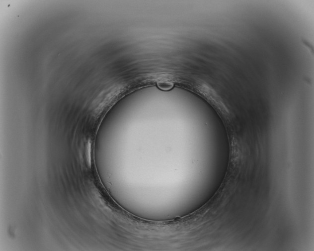 X0000099550014200805231202