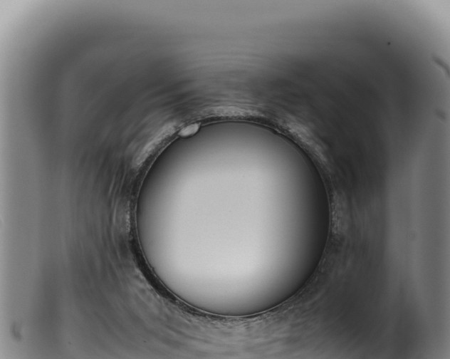 X0000099550015200805231202