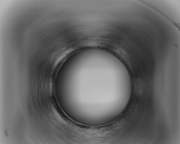 X0000099550016200805231202