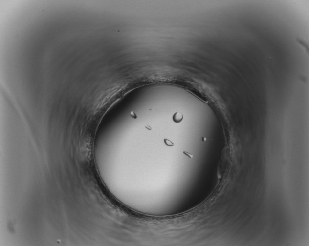 X0000099550017200805231202