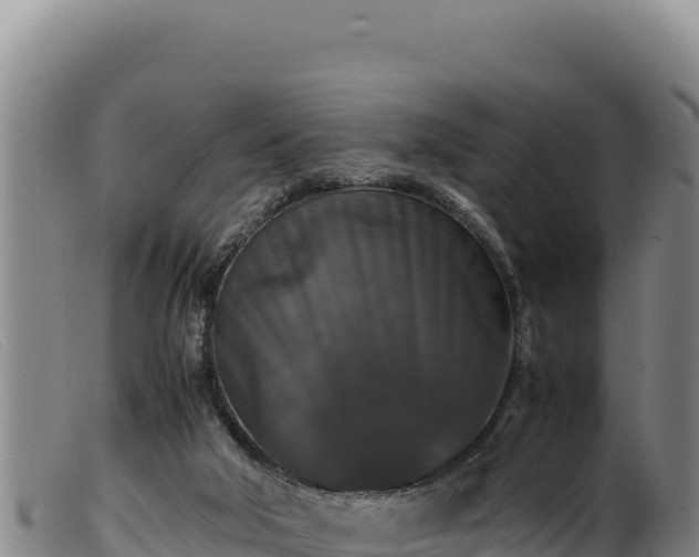 X0000099550018200805231202