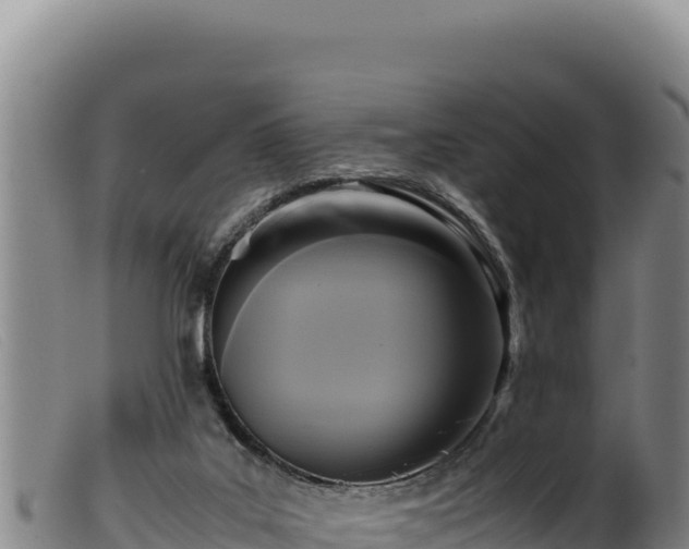 X0000099550019200805231202