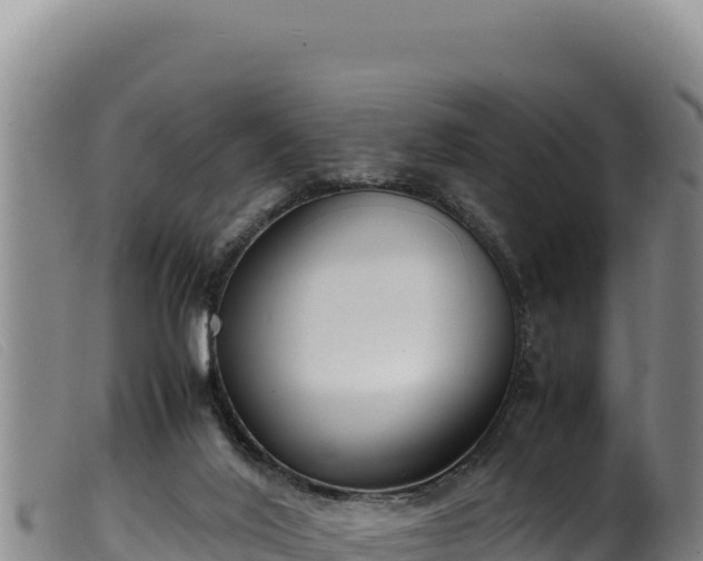 X0000099550020200805231202