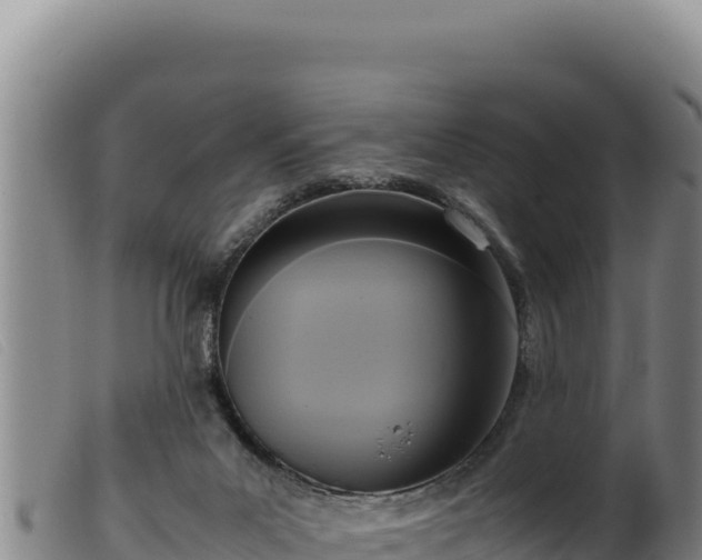 X0000099550023200805231202