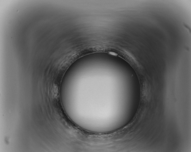 X0000099550025200805231202