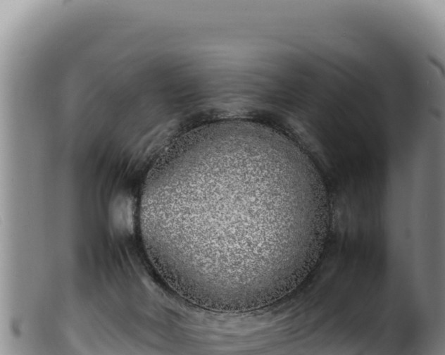 X0000099550026200805231202