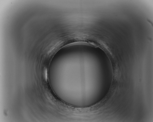 X0000099550027200805231202