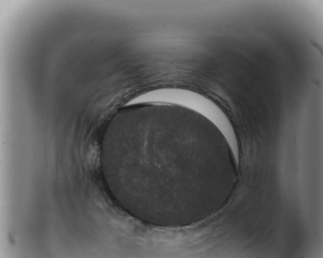 X0000099550029200805231202