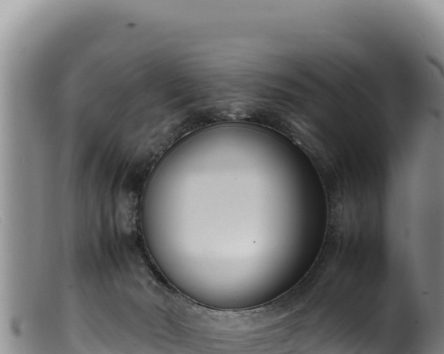 X0000099550030200805231202