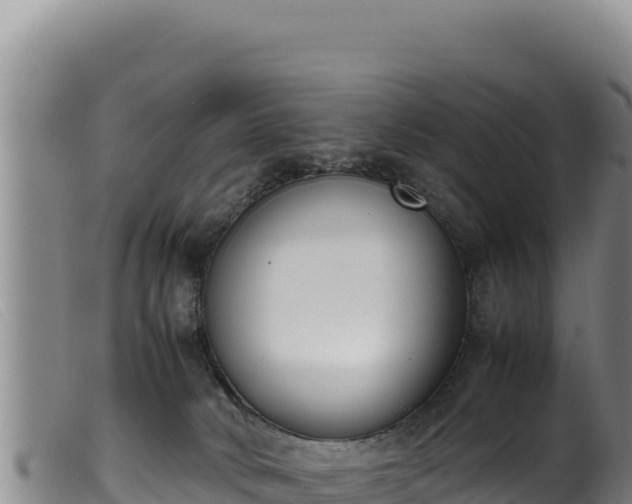 X0000099550034200805231202